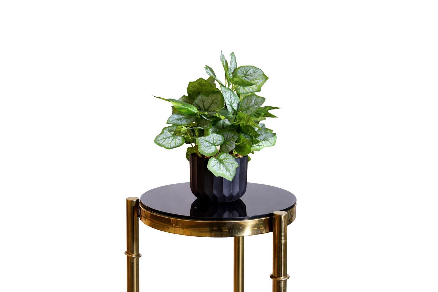 Artificial Syngonium in Black Pot