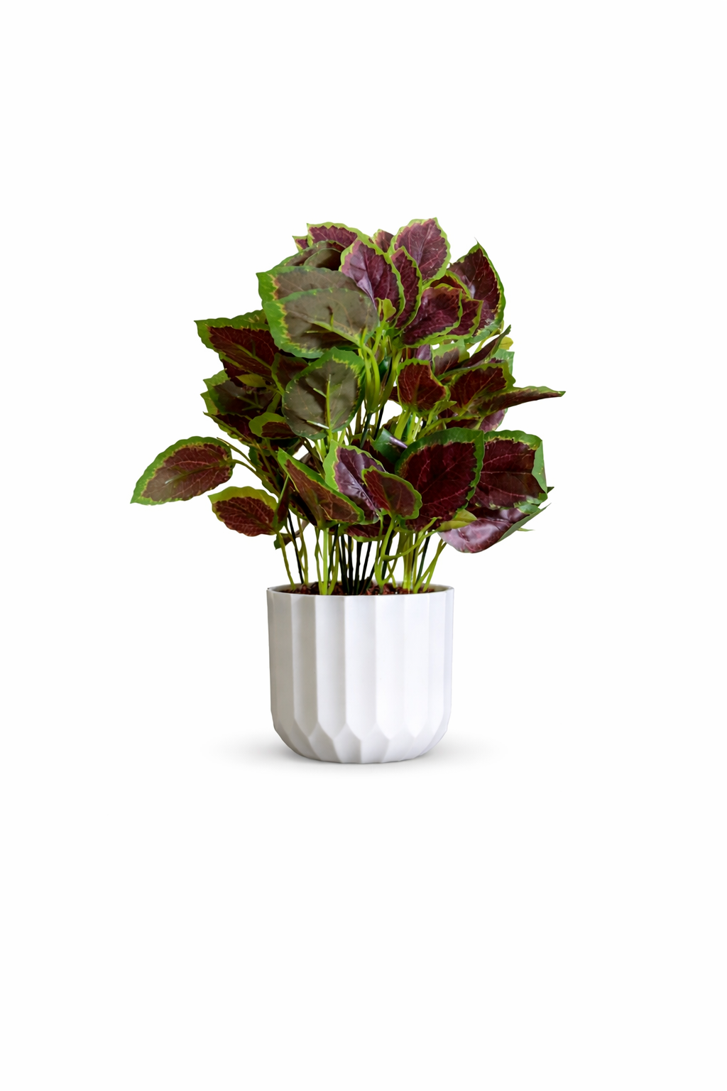 Artificial Coleus Plant with White Po