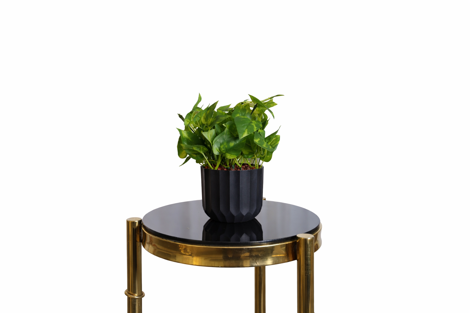 Artificial English Ivy in Black Pot