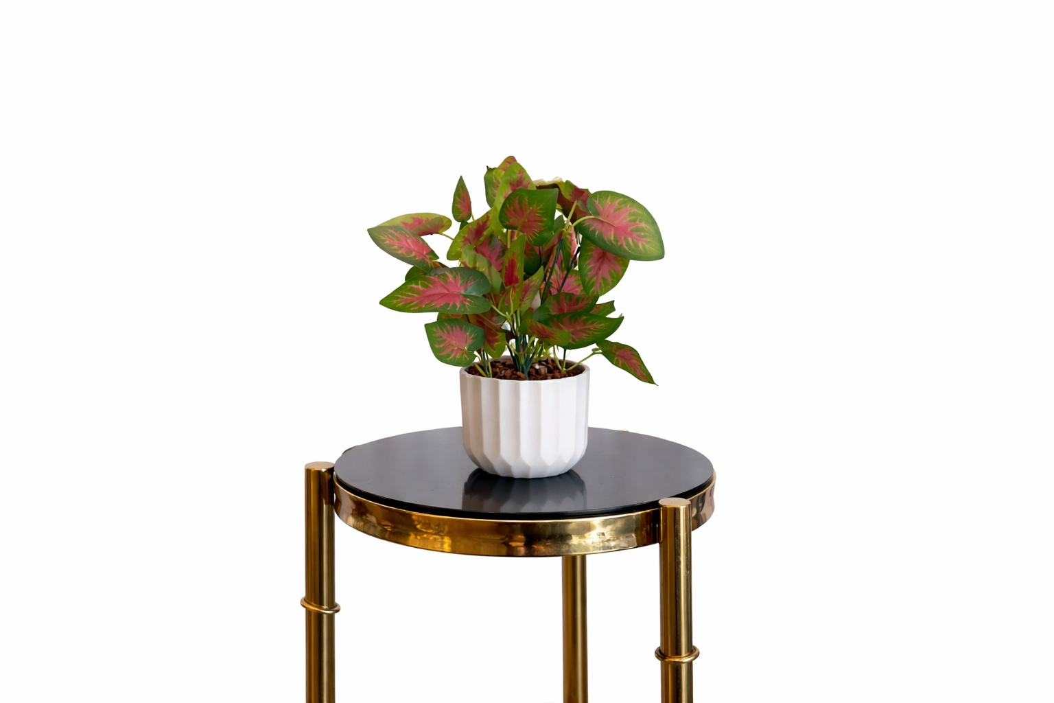 Artificial Aglaonema in White Pot
