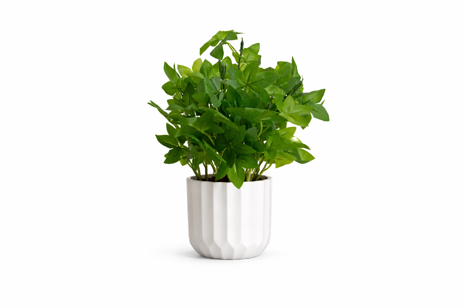Artificial Ivy Plant with White Pot