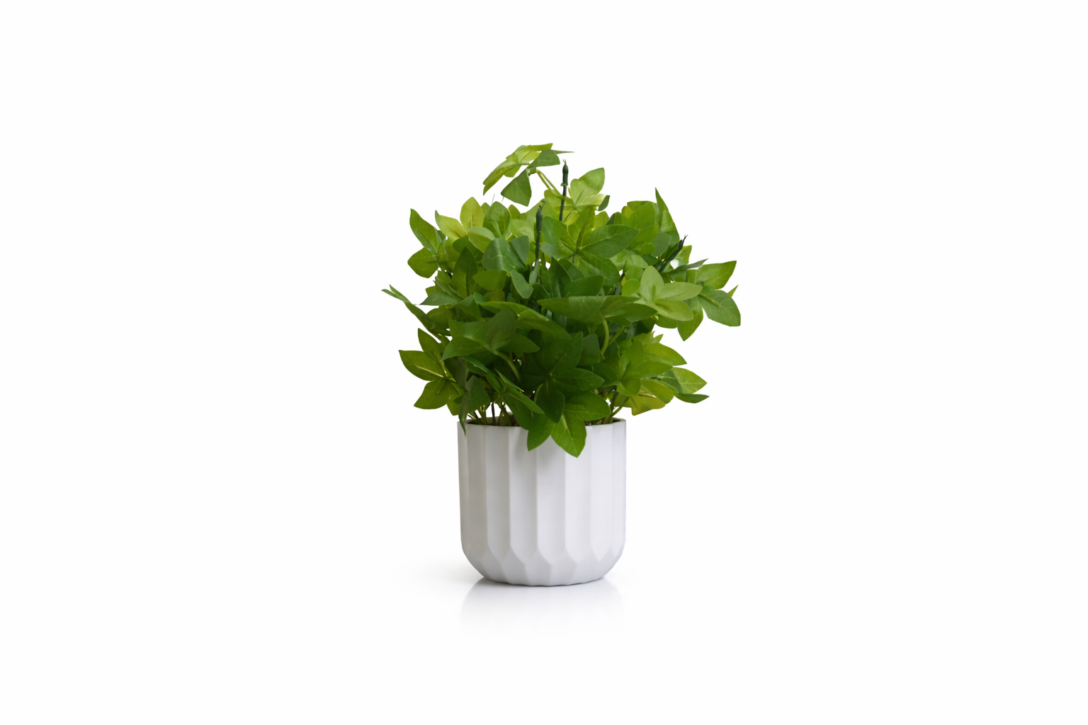 Artificial Ivy Plant with White Pot