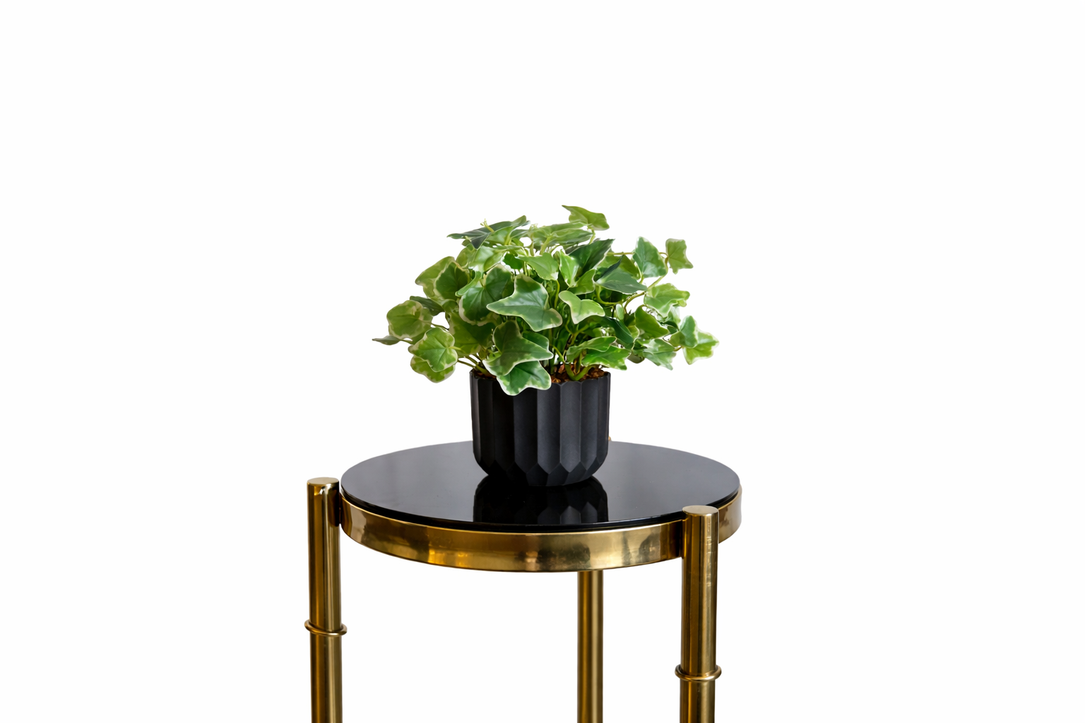 Artificial English Ivy in Black Pot